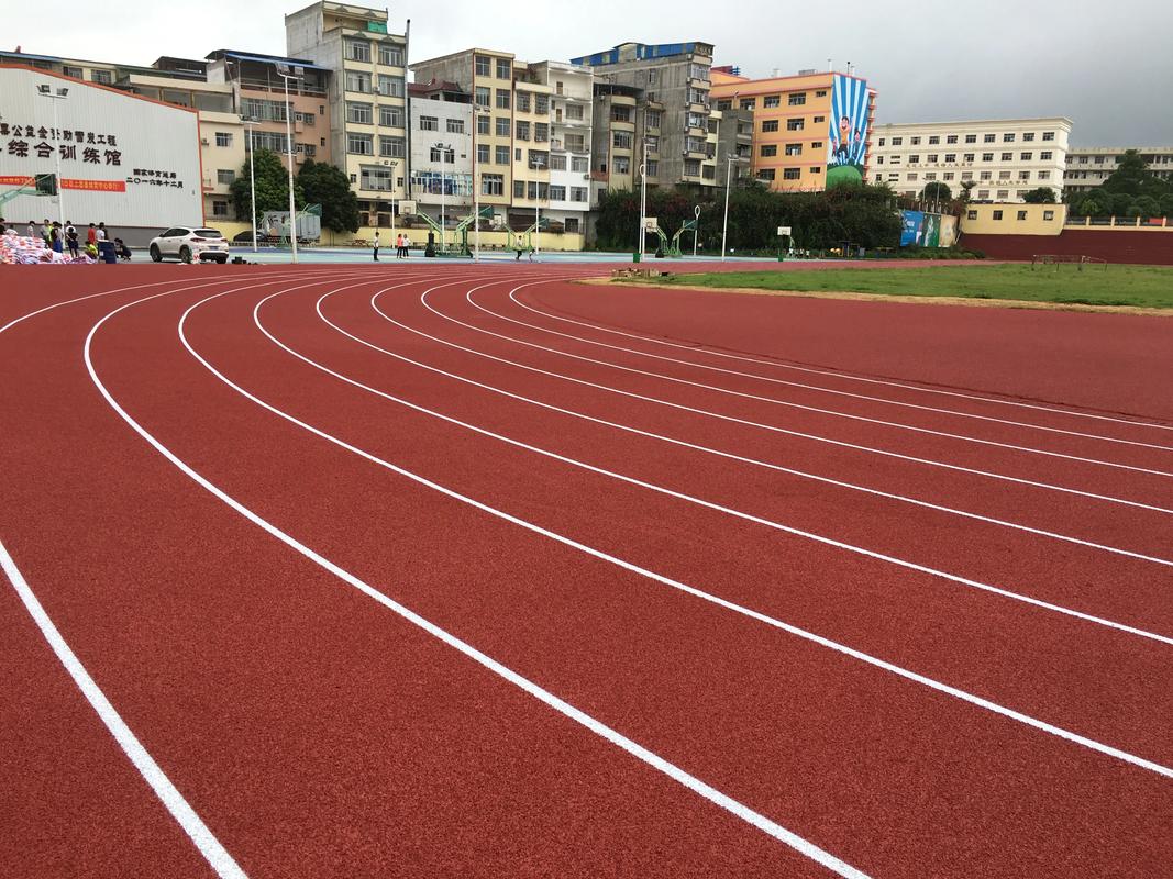 景德镇市人造草坪塑胶跑道材料 - 排名